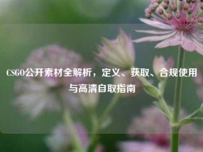 CSGO公开素材全解析，定义、获取、合规使用与高清自取指南