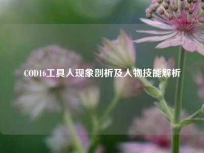COD16工具人现象剖析及人物技能解析