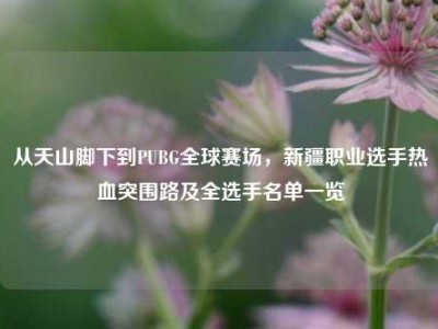 从天山脚下到PUBG全球赛场，新疆职业选手热血突围路及全选手名单一览