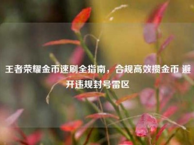 王者荣耀金币速刷全指南，合规高效攒金币 避开违规封号雷区