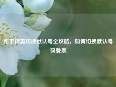和平精英切换默认号全攻略，如何切换默认号码登录