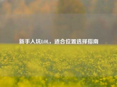 新手入坑LOL，适合位置选择指南