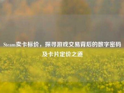 Steam卖卡标价，探寻游戏交易背后的数字密码及卡片定价之道