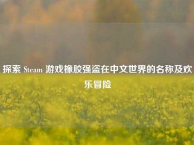 探索 Steam 游戏橡胶强盗在中文世界的名称及欢乐冒险