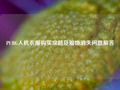 PUBG人机衣服购买攻略及服饰消失问题解答