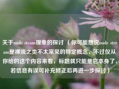 关于nude steam现象的探讨 （你可能想说nude stream是裸流之类不太常见的特定概念，不过仅从你给的这个内容来看，标题就只能是它本身了，若信息有误可补充修正后再进一步探讨）