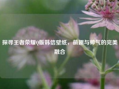 探寻王者荣耀Q版韩信壁纸，萌趣与帅气的完美融合