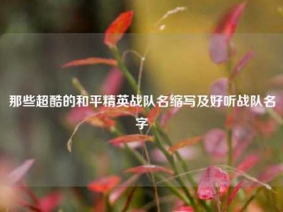 那些超酷的和平精英战队名缩写及好听战队名字