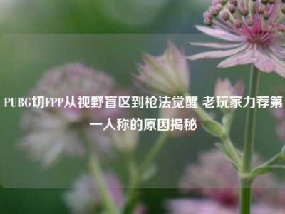 PUBG切FPP从视野盲区到枪法觉醒 老玩家力荐第一人称的原因揭秘