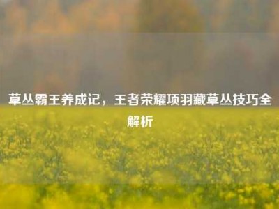草丛霸王养成记，王者荣耀项羽藏草丛技巧全解析