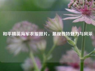 和平精英海军衣服图片，展现独特魅力与风采