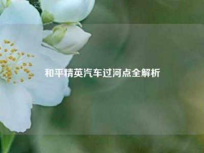 和平精英汽车过河点全解析