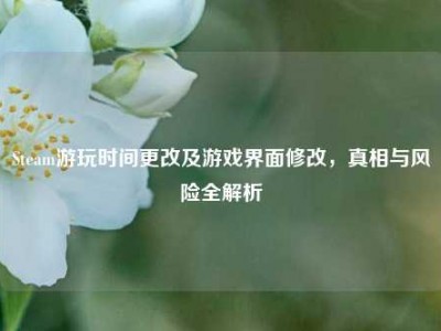 Steam游玩时间更改及游戏界面修改，真相与风险全解析