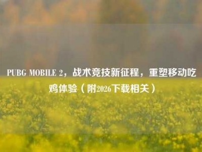 PUBG MOBILE 2，战术竞技新征程，重塑移动吃鸡体验（附2026下载相关）