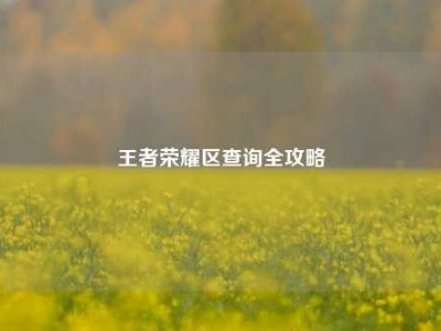 王者荣耀区查询全攻略