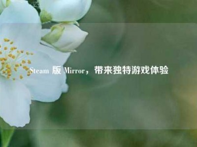 Steam 版 Mirror，带来独特游戏体验