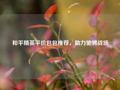 和平精英平价包包推荐，助力驰骋战场