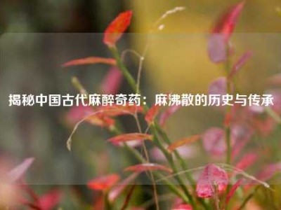揭秘中国古代麻醉奇药：麻沸散的历史与传承
