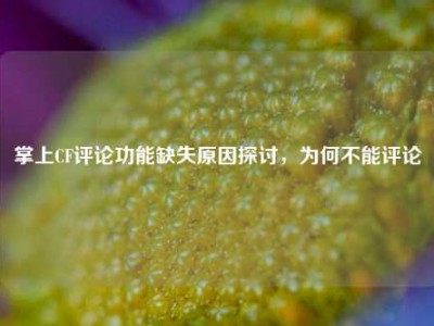掌上CF评论功能缺失原因探讨，为何不能评论