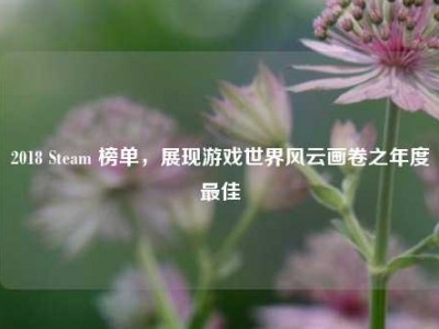 2018 Steam 榜单，展现游戏世界风云画卷之年度最佳