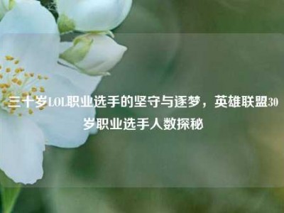 三十岁LOL职业选手的坚守与逐梦，英雄联盟30岁职业选手人数探秘