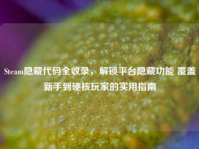 Steam隐藏代码全收录，解锁平台隐藏功能 覆盖新手到硬核玩家的实用指南