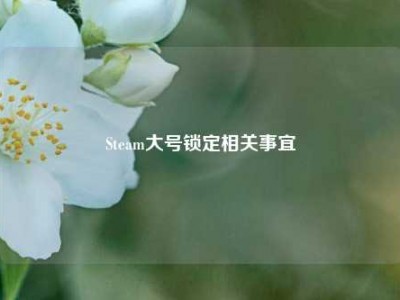 Steam大号锁定相关事宜