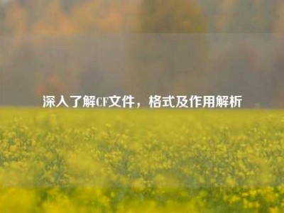 深入了解CF文件，格式及作用解析
