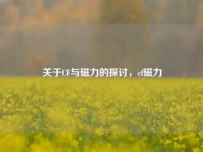 关于CF与磁力的探讨，cf磁力