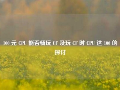 100 元 CPU 能否畅玩 CF 及玩 CF 时 CPU 达 100 的探讨