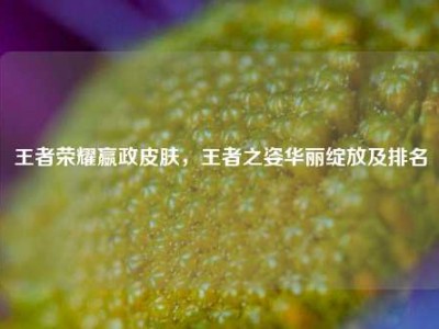 王者荣耀嬴政皮肤，王者之姿华丽绽放及排名