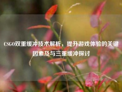 CSGO双重缓冲技术解析，提升游戏体验的关键因素及与三重缓冲探讨
