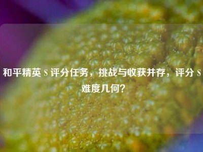 和平精英 S 评分任务，挑战与收获并存，评分 S 难度几何？