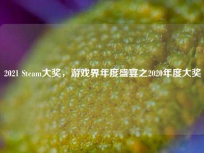 2021 Steam大奖，游戏界年度盛宴之2020年度大奖