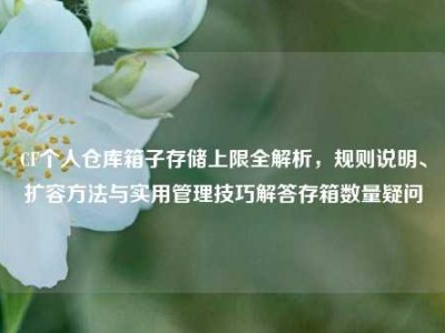 CF个人仓库箱子存储上限全解析，规则说明、扩容方法与实用管理技巧解答存箱数量疑问