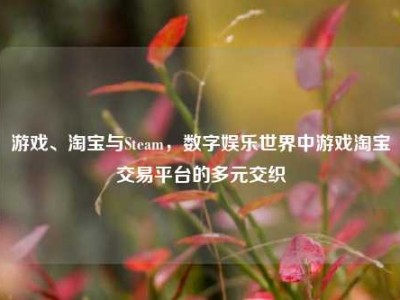 游戏、淘宝与Steam，数字娱乐世界中游戏淘宝交易平台的多元交织
