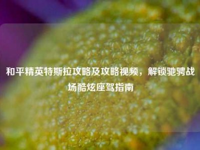 和平精英特斯拉攻略及攻略视频，解锁驰骋战场酷炫座驾指南