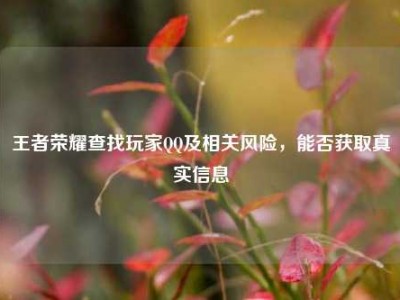 王者荣耀查找玩家QQ及相关风险，能否获取真实信息