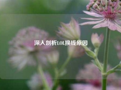 深入剖析LOL换线原因
