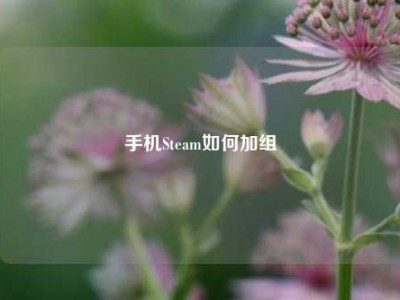 手机Steam如何加组