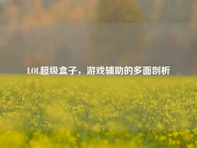 LOL超级盒子，游戏辅助的多面剖析