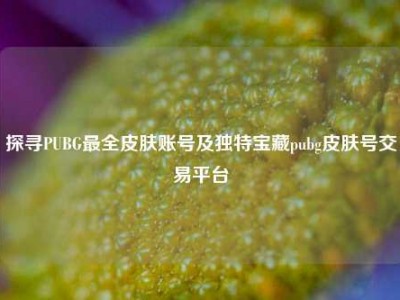 探寻PUBG最全皮肤账号及独特宝藏pubg皮肤号交易平台