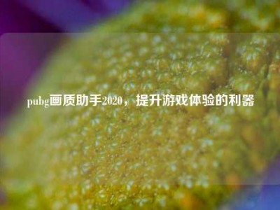 pubg画质助手2020，提升游戏体验的利器
