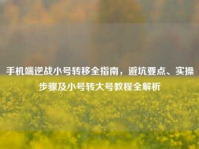 手机端逆战小号转移全指南，避坑要点、实操步骤及小号转大号教程全解析