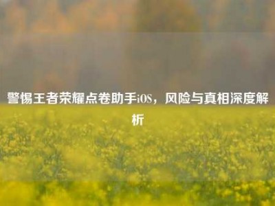 警惕王者荣耀点卷助手iOS，风险与真相深度解析