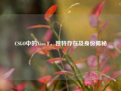 CSGO中的Xiao F，独特存在及身份揭秘
