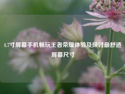 4.7寸屏幕手机畅玩王者荣耀体验及探讨最舒适屏幕尺寸
