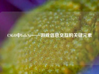 CSGO中InfoNo——游戏信息交互的关键元素