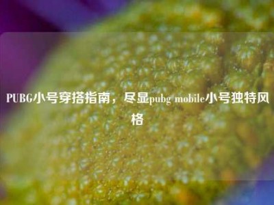 PUBG小号穿搭指南，尽显pubg mobile小号独特风格