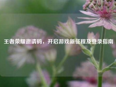 王者荣耀邀请码，开启游戏新征程及登录指南